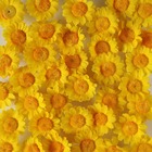 Têtes de marguerite artificielles jaune x 36 en sachet d 3 cm - couleur: jaune
