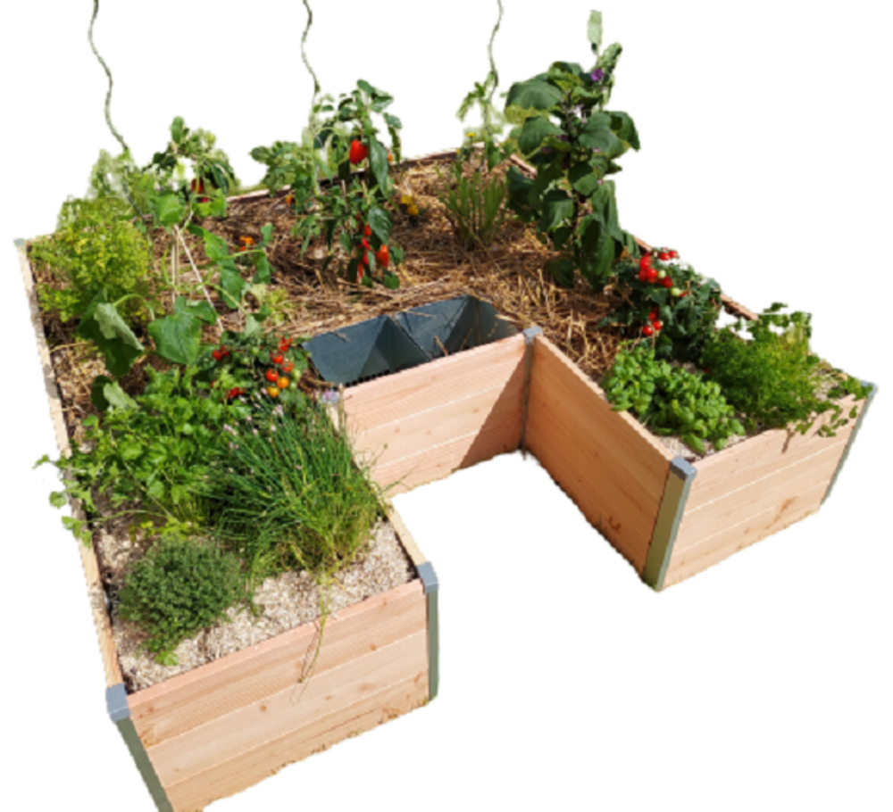 Carré potager autonome en bois Douglas KEYHOLE GARDEN L175 x l170 x H40 - Composteur intégré - Epaisseur 22mm