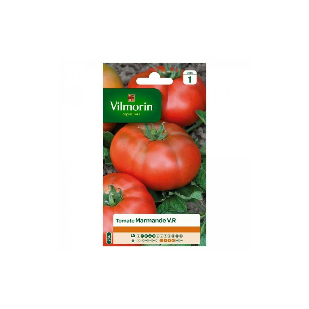 Sachet graines tomate marmande