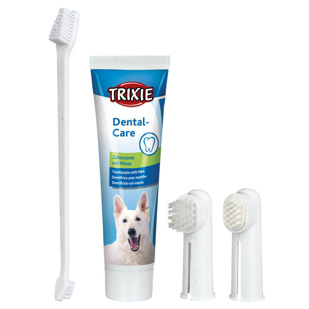 Set hygiène dentaire 100 g, pour chien