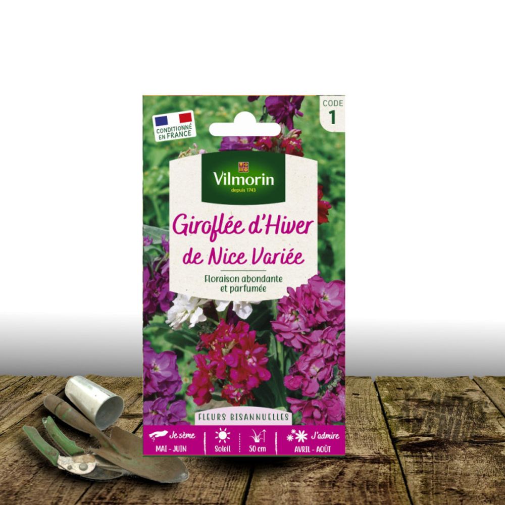 Graines de giroflée d'hiver de nice - vilmorin sachet
