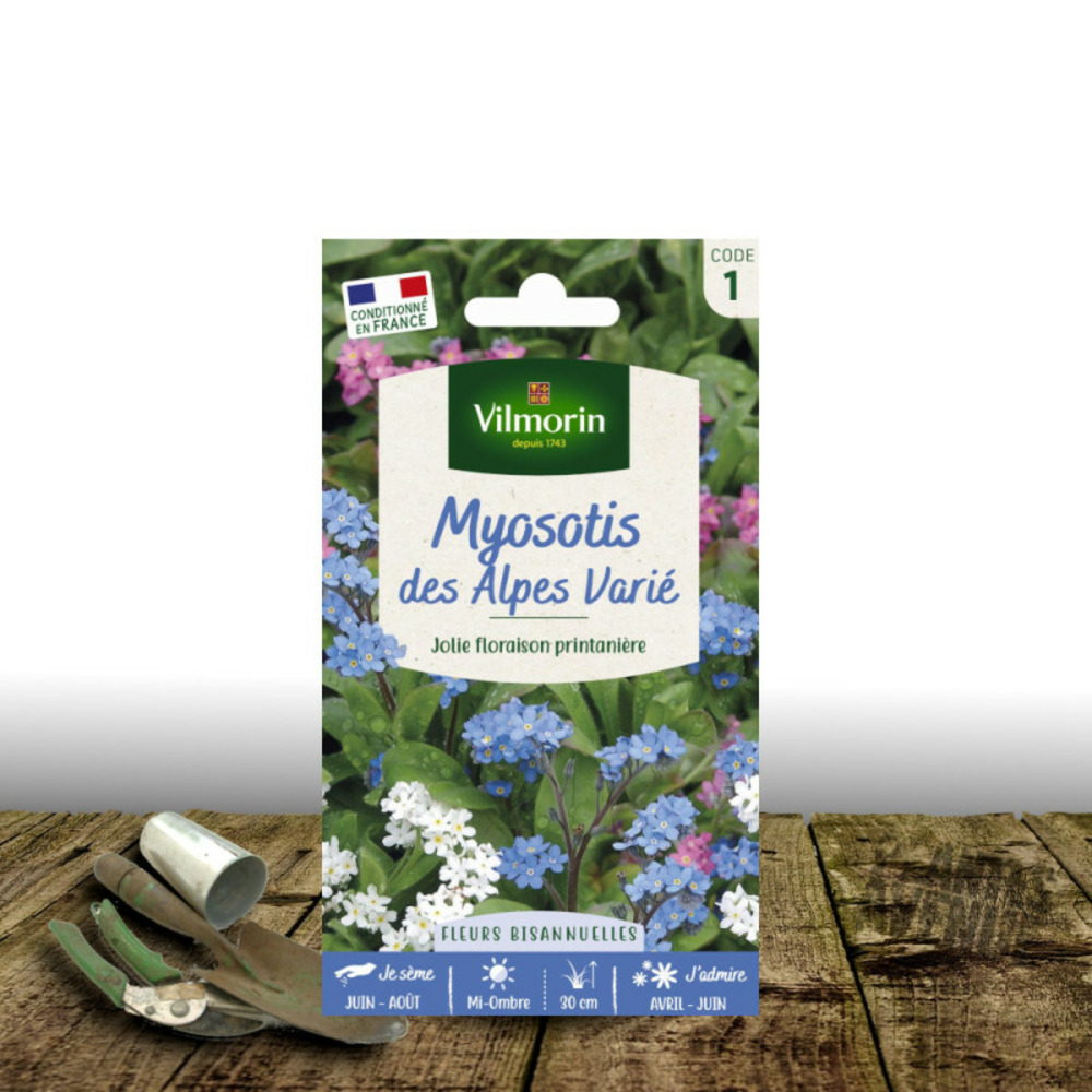 Graines de myosotis des alpes - vilmorin sachet