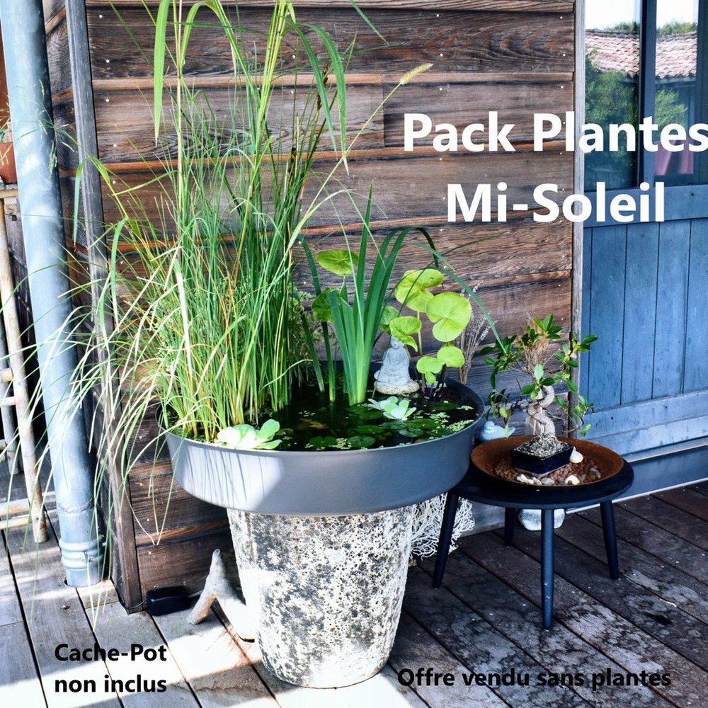 Pack bassin de terrasse, 60litres avec accessoires + oxygénateur 220v- sans plantes.produit médaillé d'argent