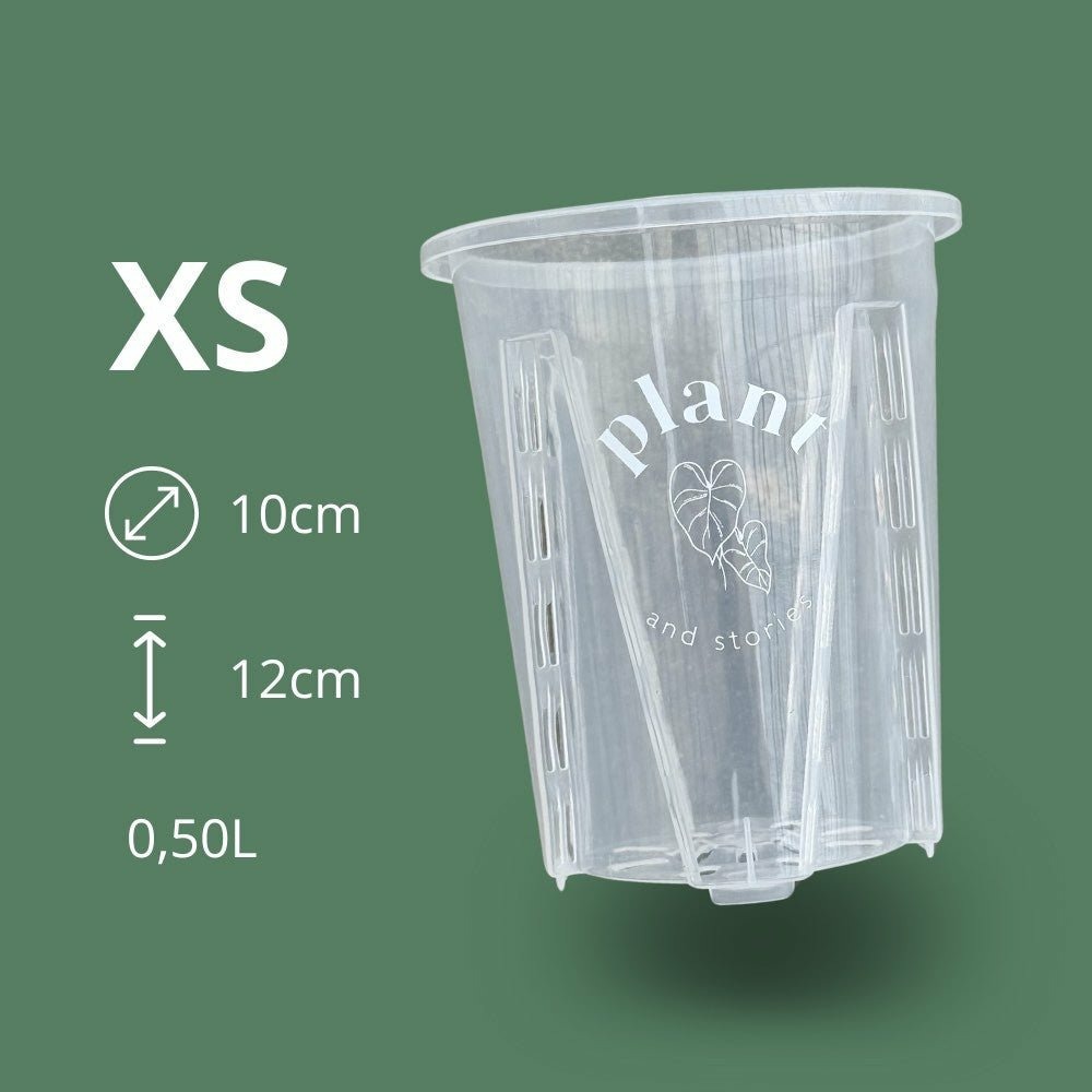 Pot aracées transparent - pot de culture transparent pour plantes - pot de 10cm - x5 unités