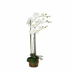 Mica decorations plante artificielle phalaenopsis - 30x18x76 cm - polyester - blanc