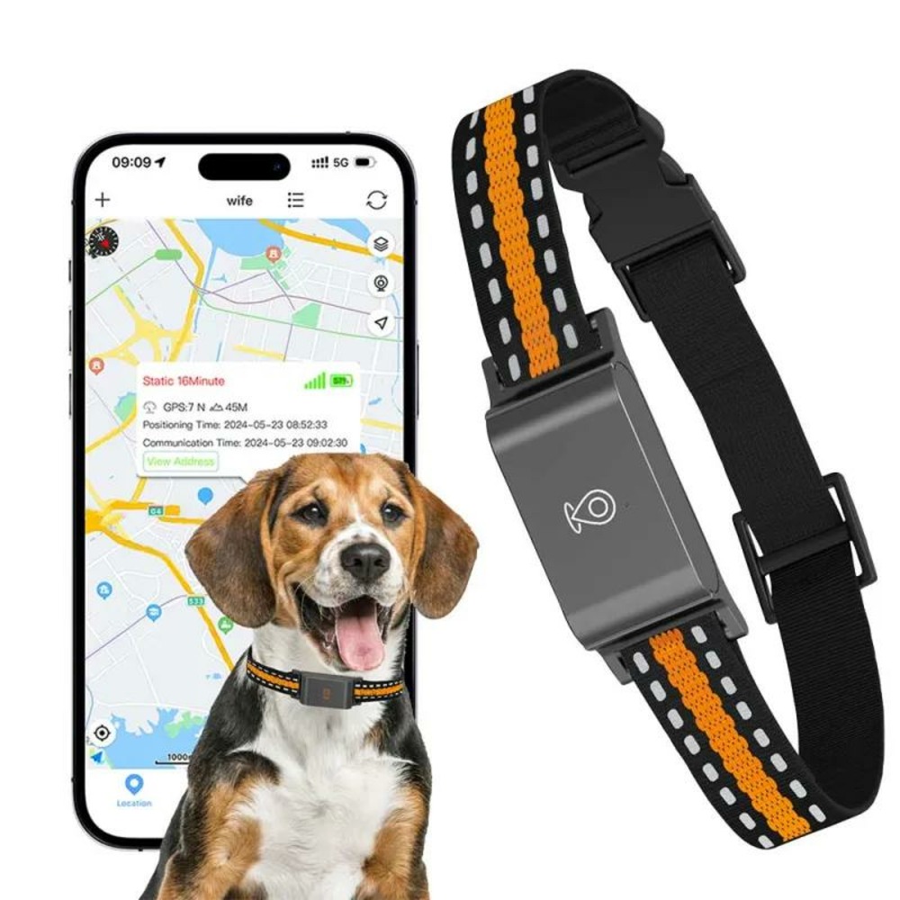 Collier traceur gps 4g pour animaux - ip65 - application gratuite