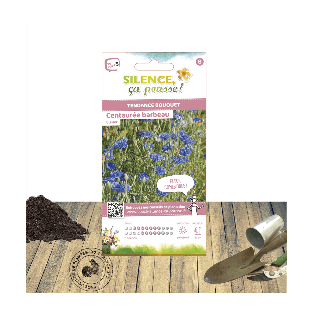Graines de centaurée barbeau double bleue/centaurea cyanus double bleue ...