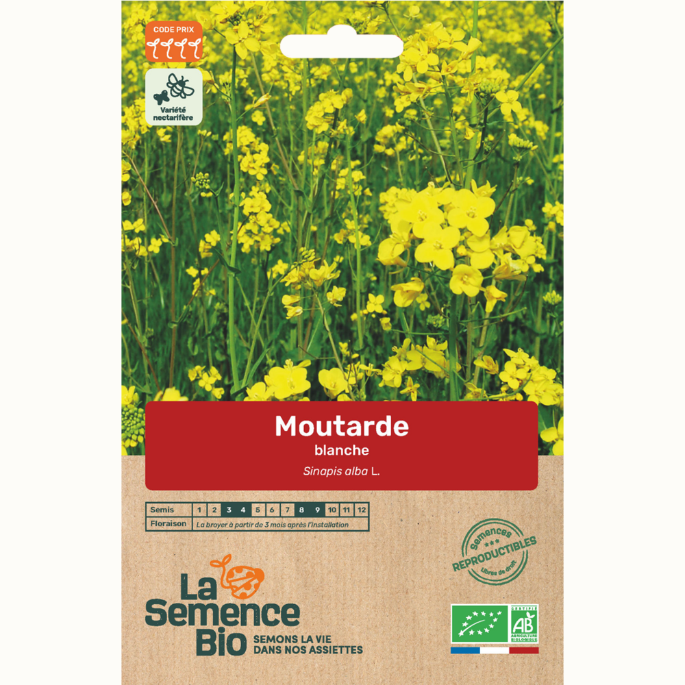 Moutarde blanche - graines bio