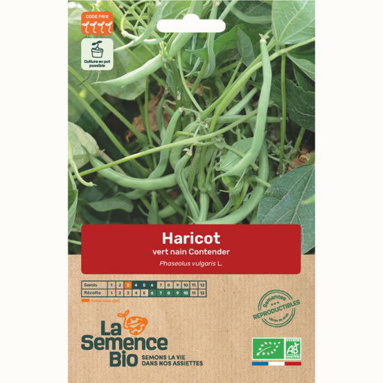 Haricot vert nain contender - graines bio