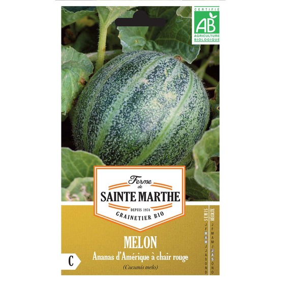 Melon 'ananas d'amérique' le sachet de 15 graines environ