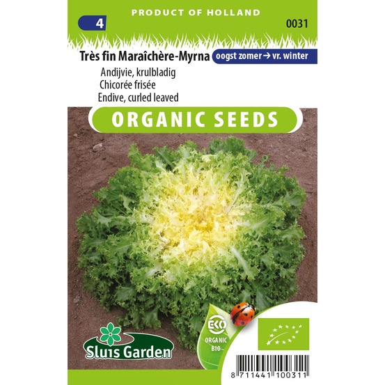Chicorée frisée 'myrna bio' le sachet de 500 graines environ (0.8g)