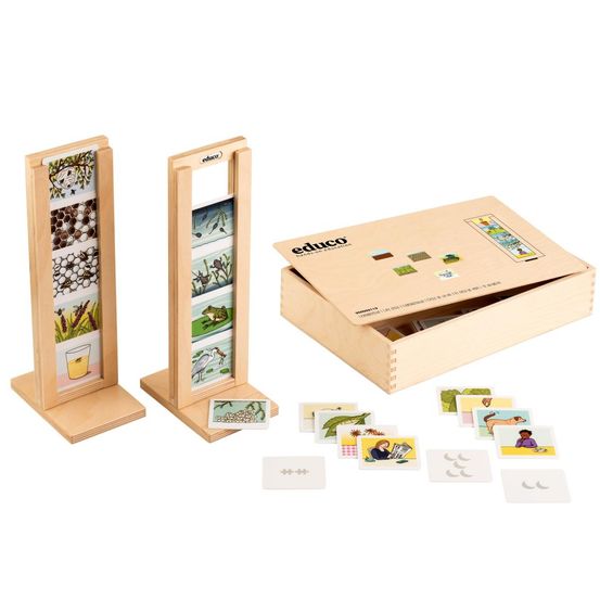 Jeu montessori nature - cycle de la vie en bois pour éducation écologique