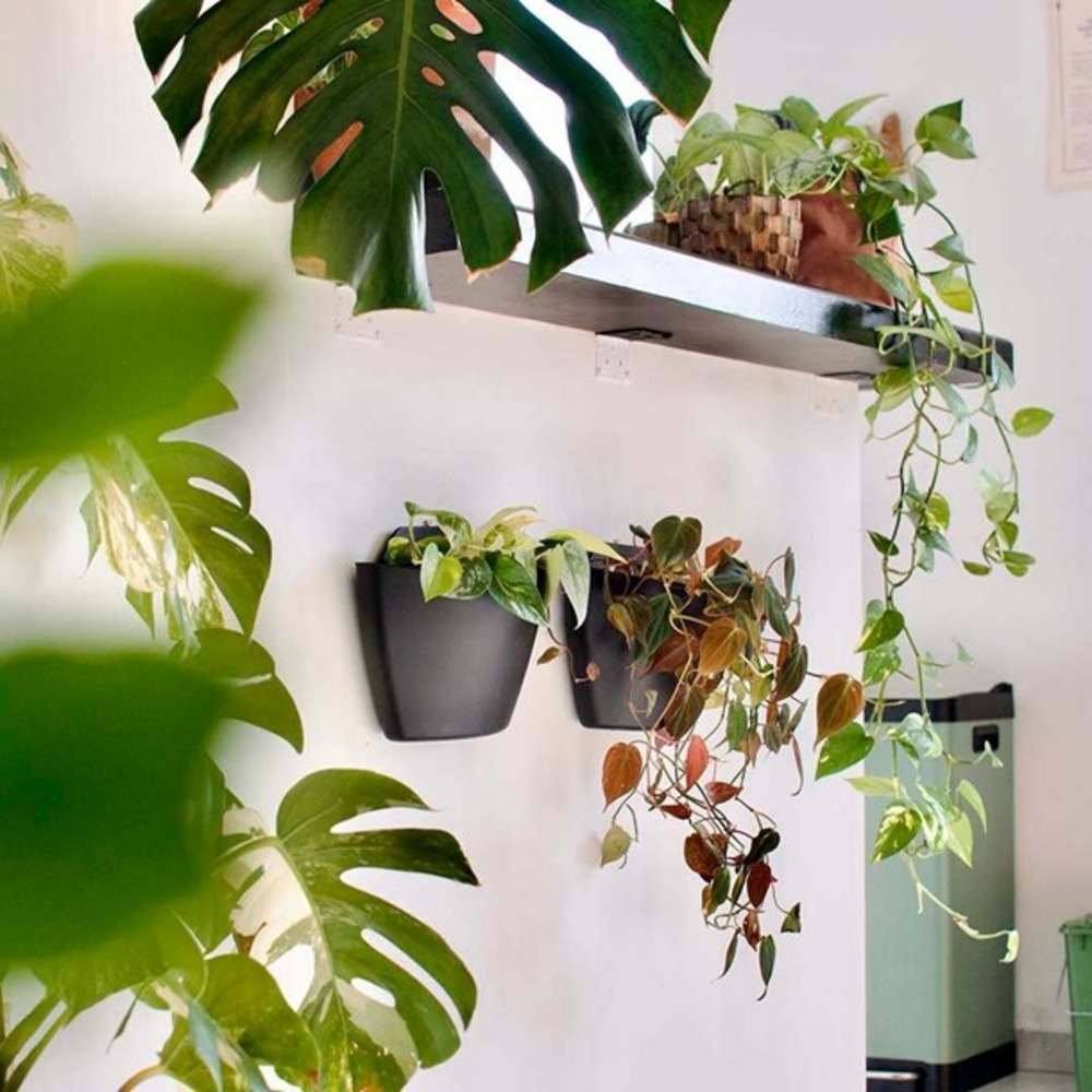 Pack de 3 pots muraux citysens noirs avec arrosage automatique.