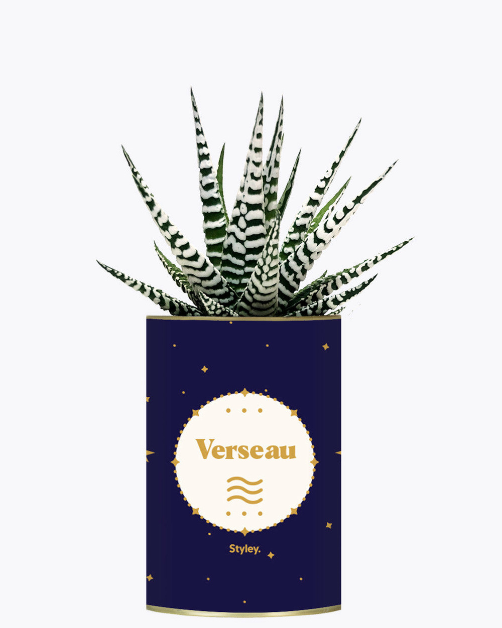 Idée cadeau - astrologie - plante zodiac