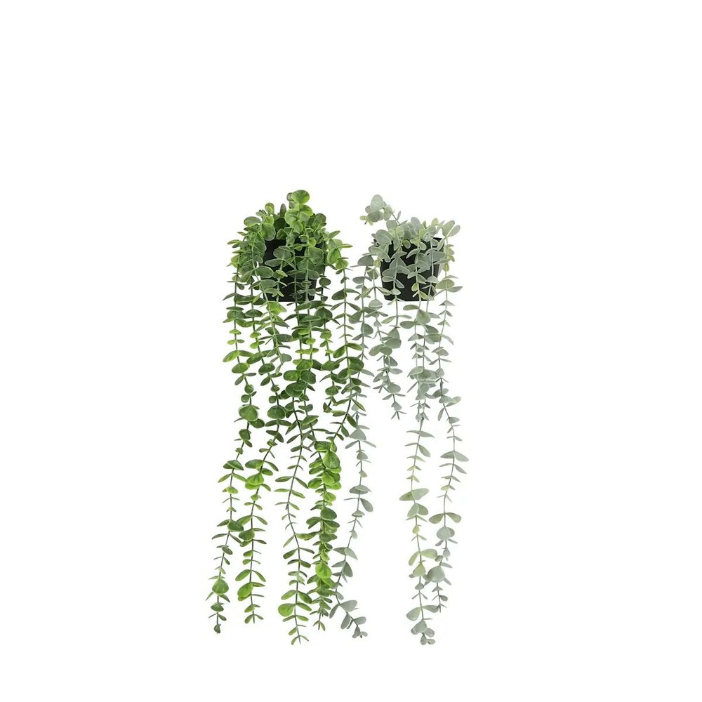 Plante succulente retombante artificielle 50cm lot de 2