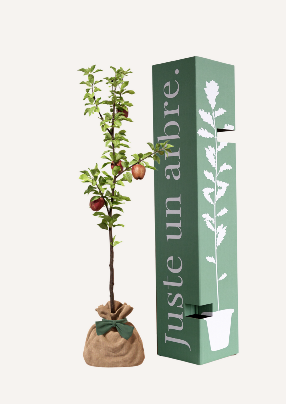Pommier reine des reinettes | offrez un arbre pour célébrer les grands moments de vie (naissance, mariage).