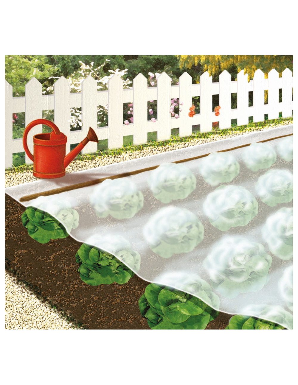 Voile de croissance plantes et arbustes 2m x 5m - capvert