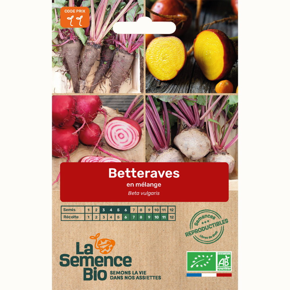 Betteraves en mélange - graines bio