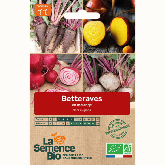 Betteraves en mélange - graines bio