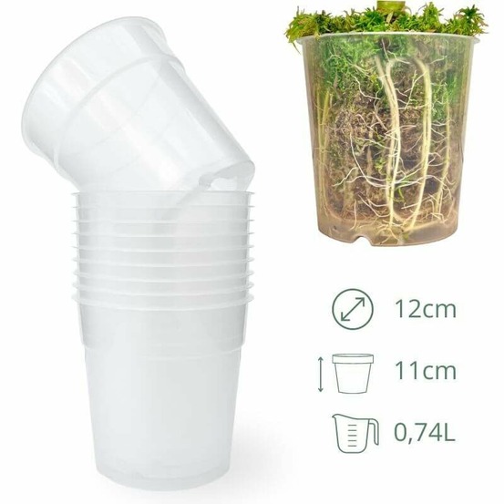 Lot x10 pots transparents - pot de 12cm - pots seuls