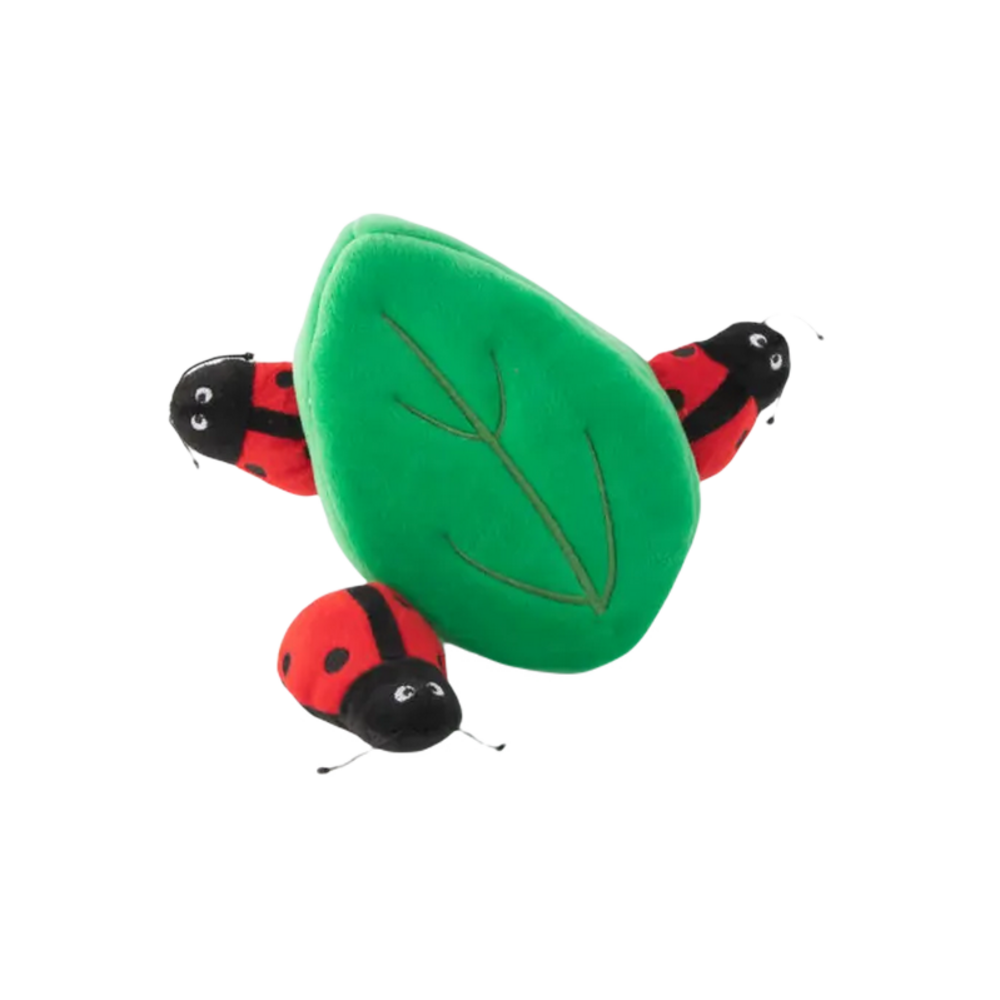 Burrow coccinelle, peluche de fouille pour chien