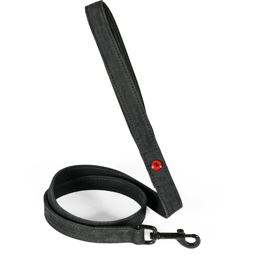 Laisse pour chien en cuir huilé, poignée néoprène, longueur 1 m, sangle 20