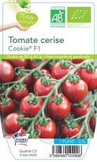 Tomate cerise cookie® f1 -plant ab en  pot 0.5 l-plante du jardin