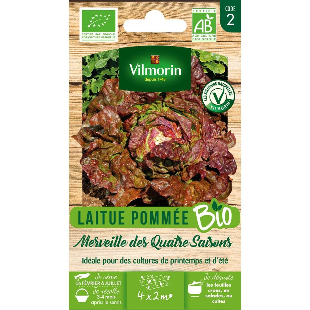 Sachet de graines laitue pommée merveille des 4 saisons bio