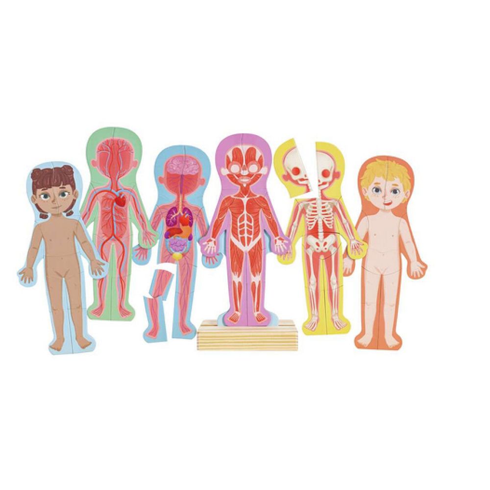 Puzzle aimante - assemble le corps humain