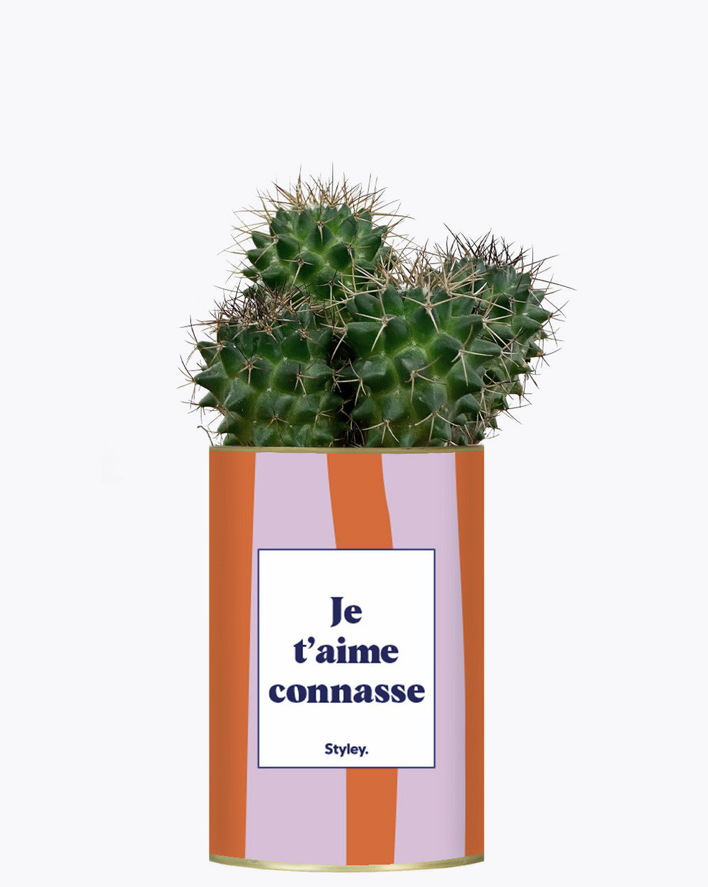 Plante personnalisée - je t'aime connasse - plante