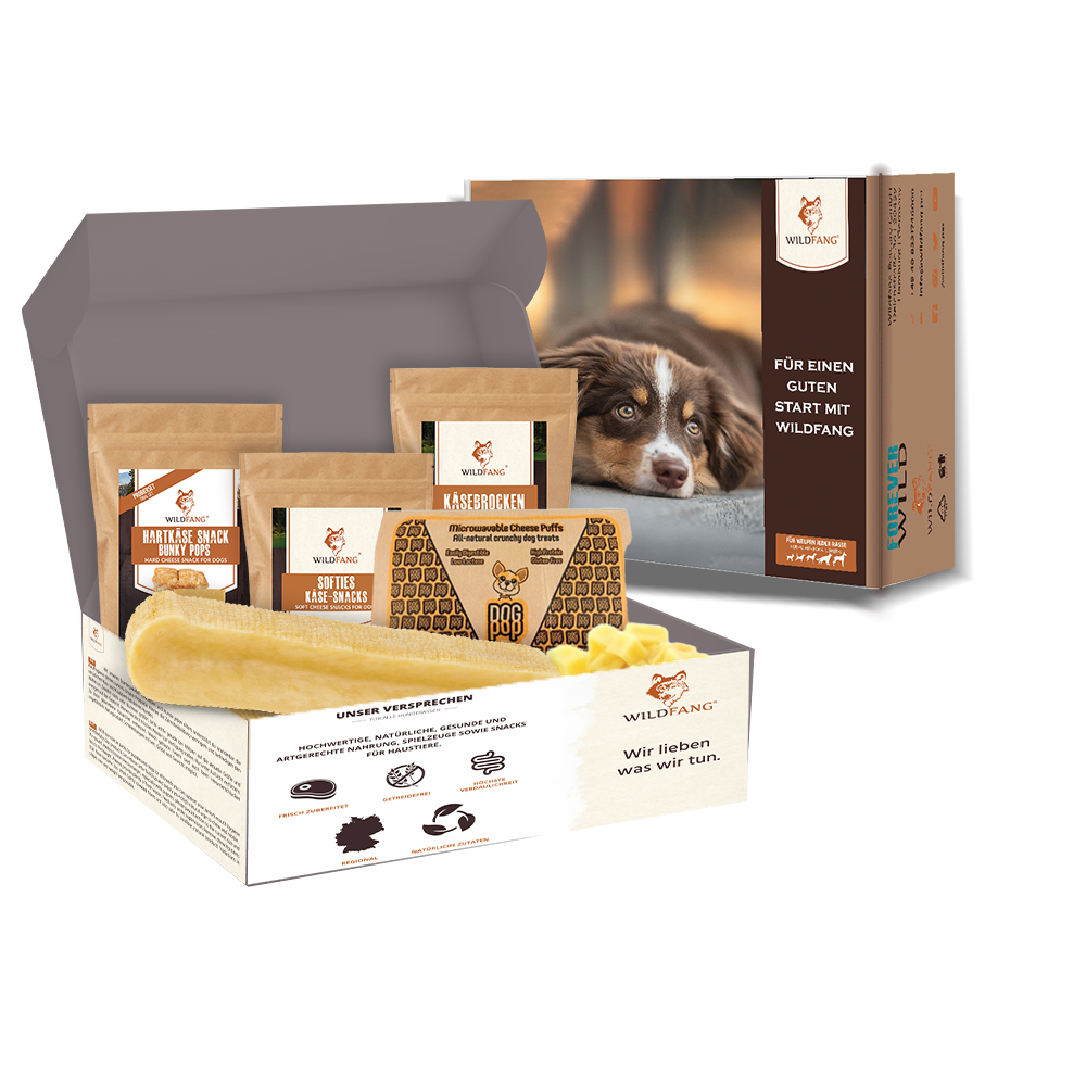 Wildfang - paquet « cheese love » - l