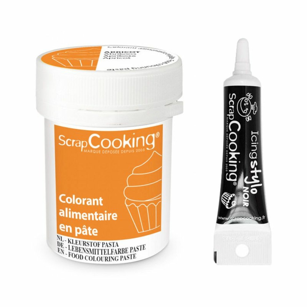 Colorant alimentaire en pâte 20 g abricot + stylo de glaçage noir