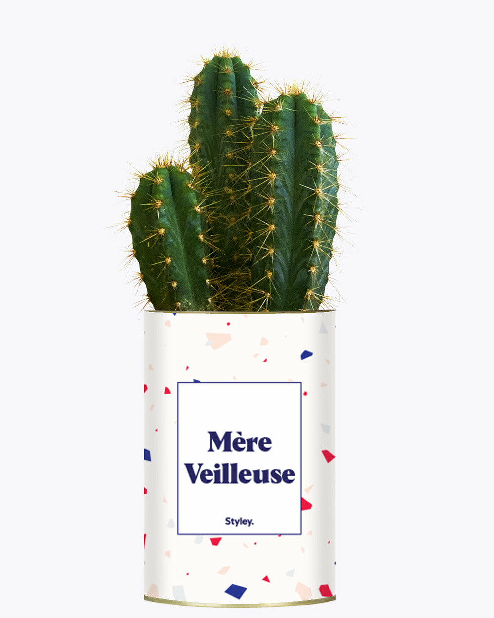 Plante personnalisée - mère veilleuse - cactus