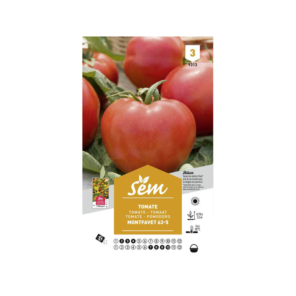 Graines potagères tomate montfavet