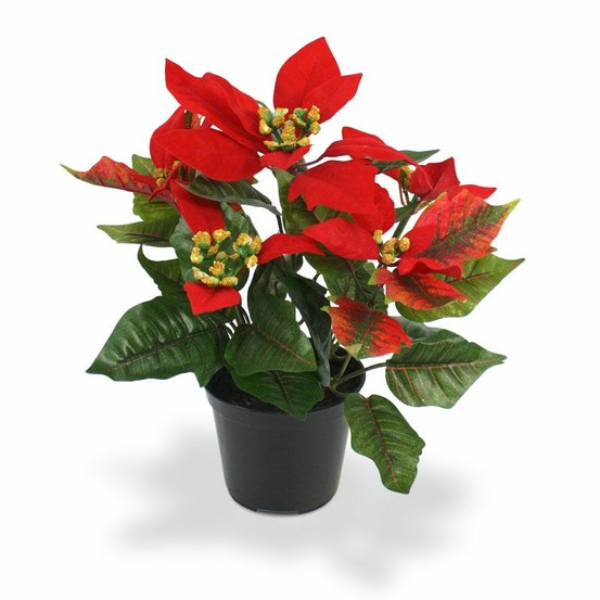 Plante artificielle poinsettia 25cm en pot - rouge