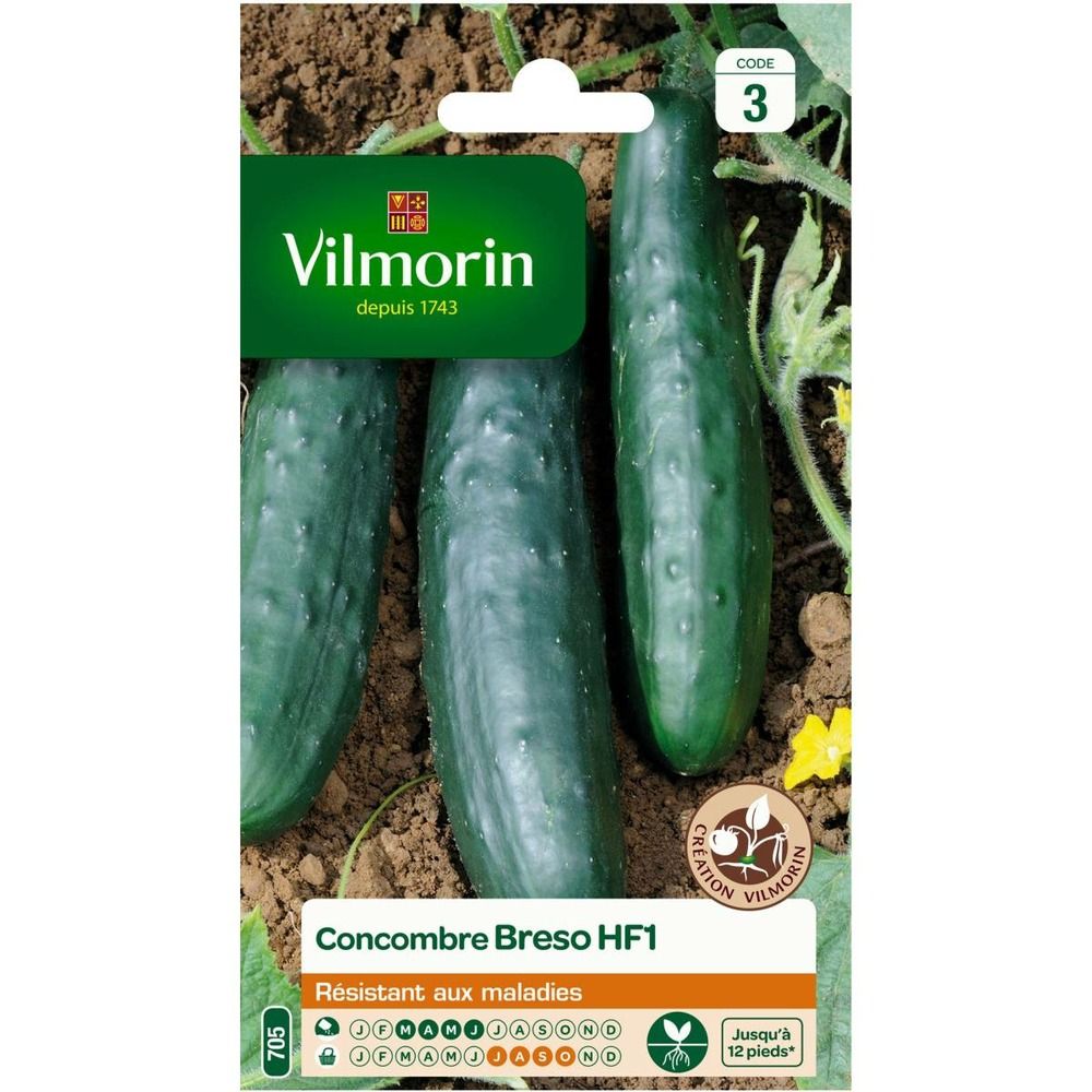 Sachet graines de concombre breso hf1