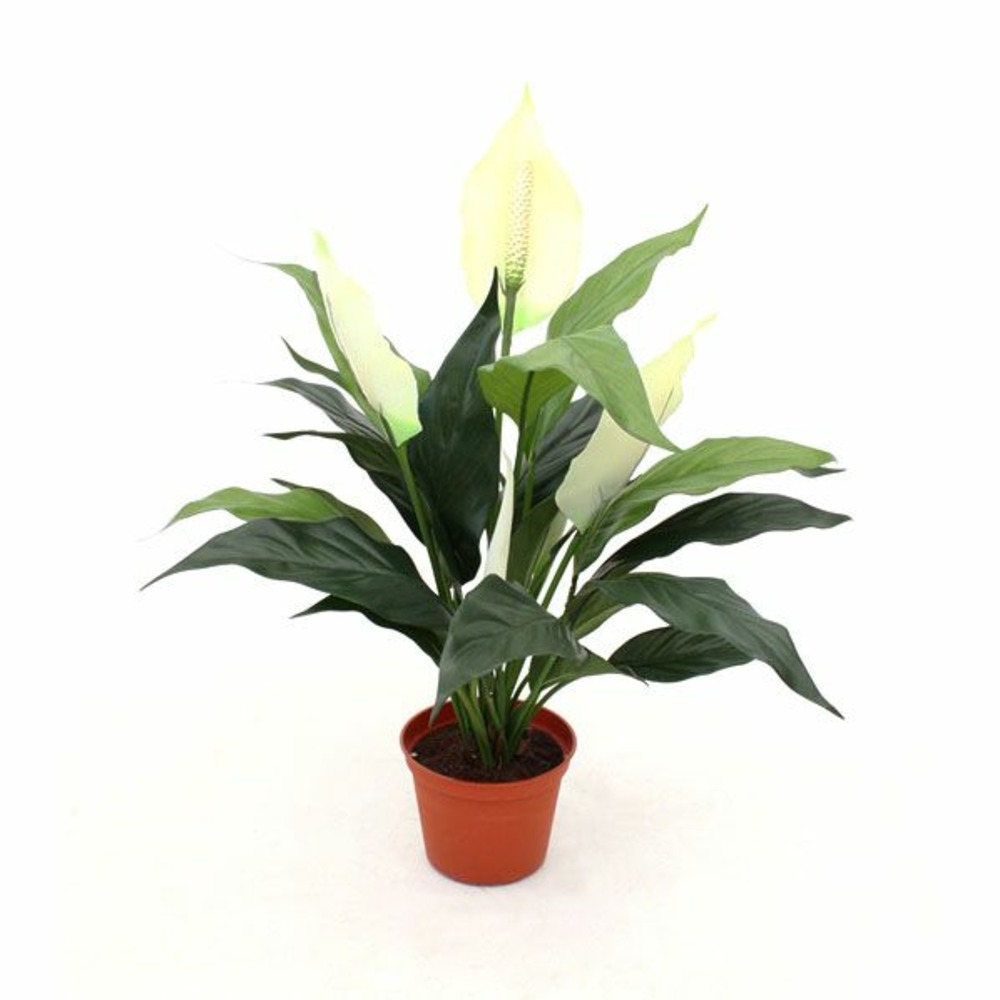 Spathiphyllum plante artificiel 50cm