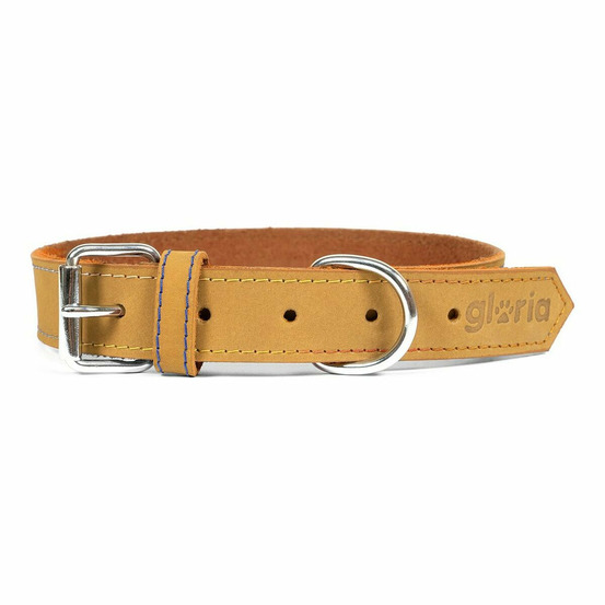 Collier pour chien gloria oasis jaune (35 x 1,2 cm)