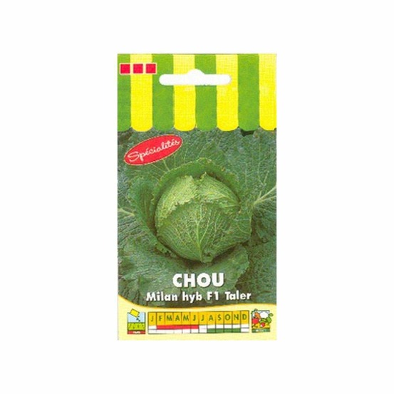 Chou de Milan HYB F1 Taler