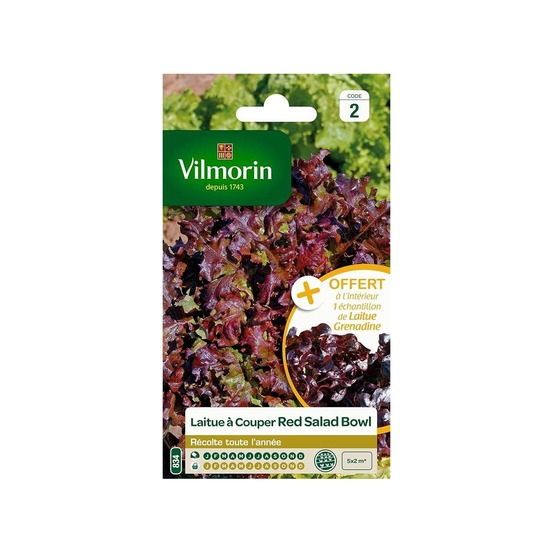 Sachet graines laitue à couper salad bowl rouge