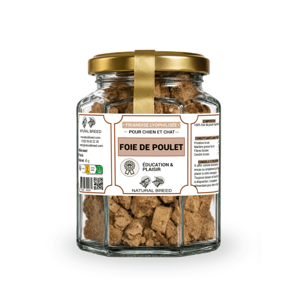 Friandises lyophilisées pour chien et chat – 100 % foie de poulet – snack naturel