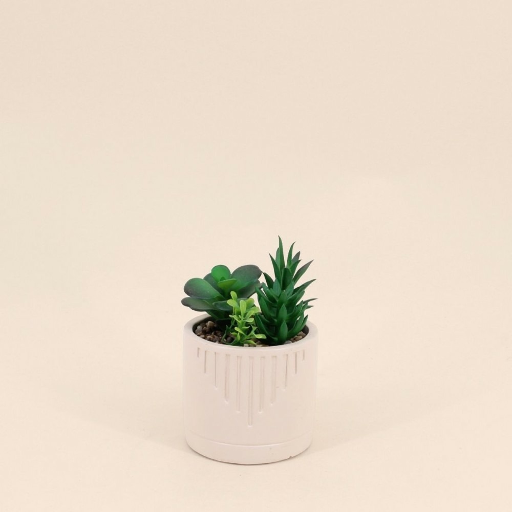 Plante grasse artificielle pot beige