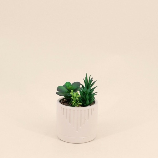 Plante grasse artificielle pot beige