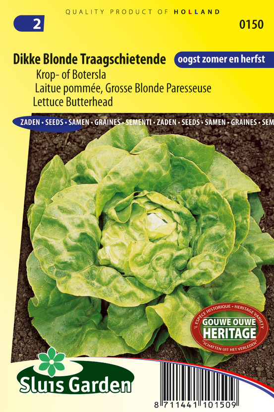 Laitue pommée grosse blonde paresseuse - laitues & romaines - ca. 1 g (livraison gratuite)