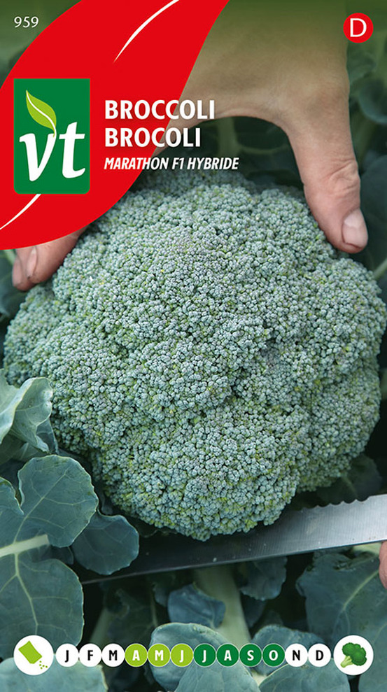 Brocoli marathon f1 hybride - ca. 0,3 gr (livraison gratuite)