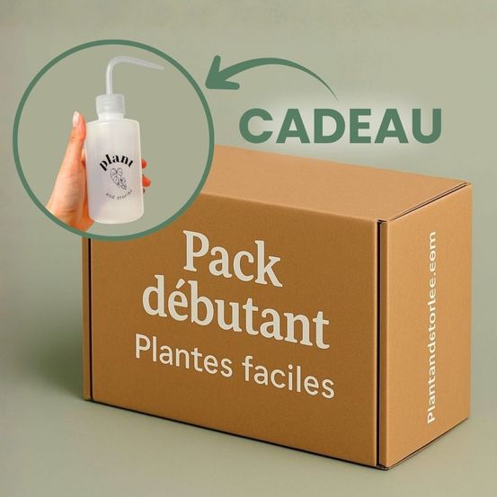 Box débutant plantes surprises + pipette 250ml offerte - 9 plantes surprises - plantes d'intérieur