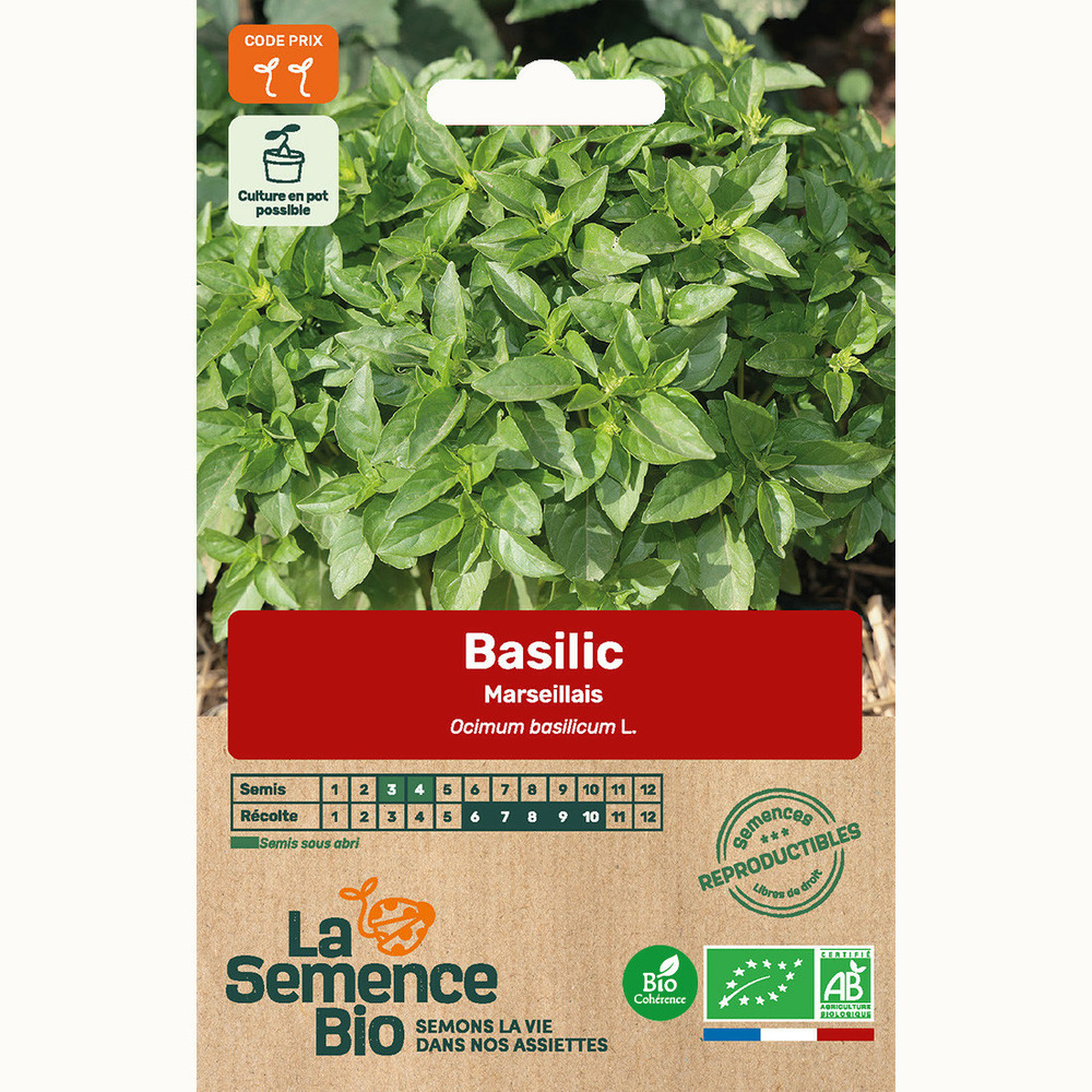 Basilic marseillais - graines bio
