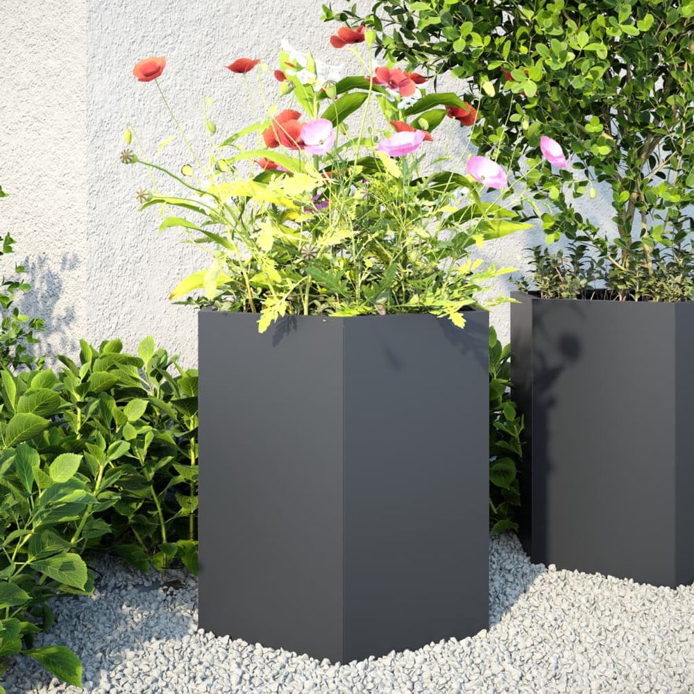 Lot de 2 carrés potager hexagonaux acier pour jardin anthracite 46x45 cm