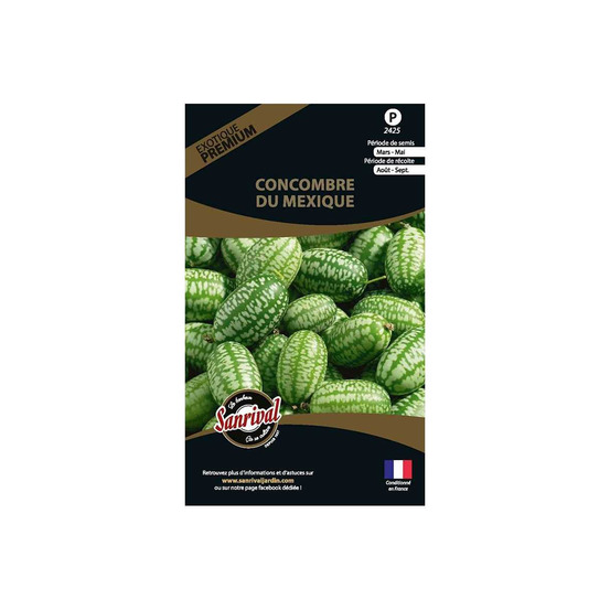 Graines potagères premium concombre du mexique