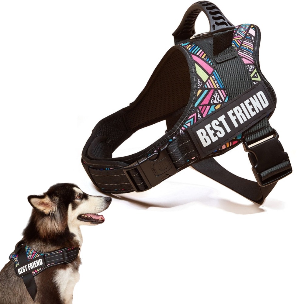 Harnais réglable en nylon pour chien xxl